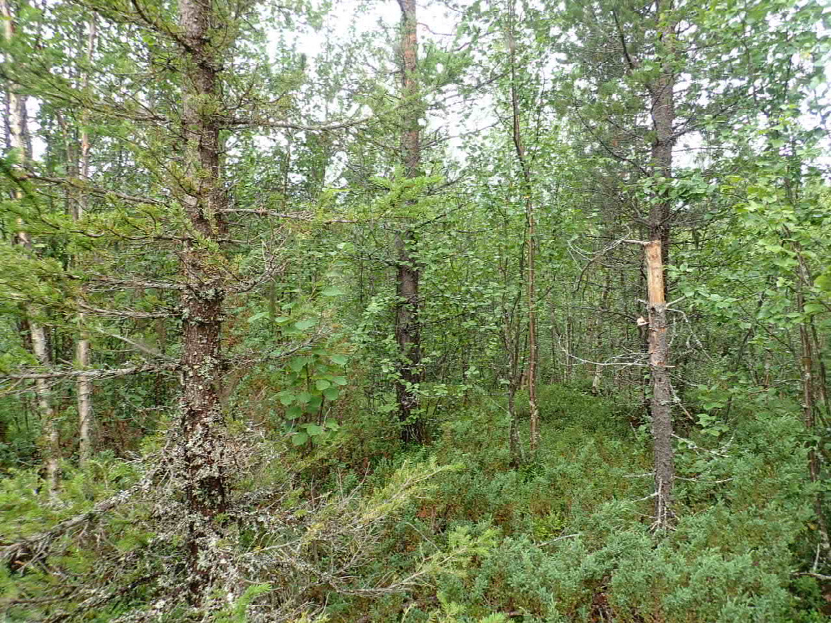 West view / Westliche Sicht