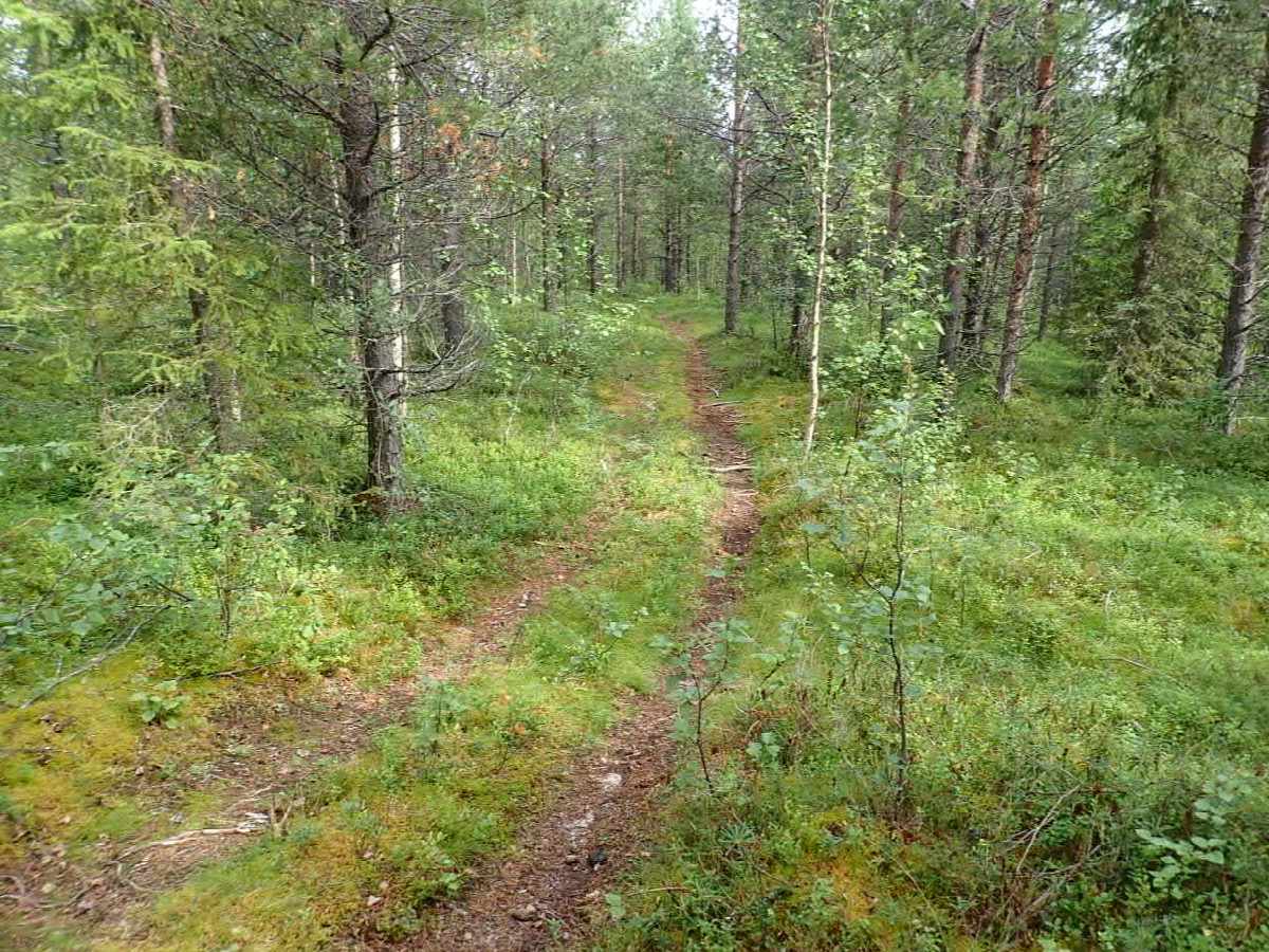 On the way to the Point / Auf dem Weg zum Punkt