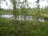 #9: Little Lake near from Point / Kleiner See  200 Meter vor dem Punkt