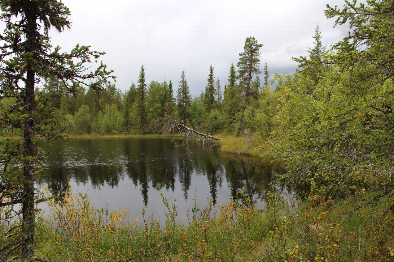 General view of the area - CP on other side of the lake ~200m