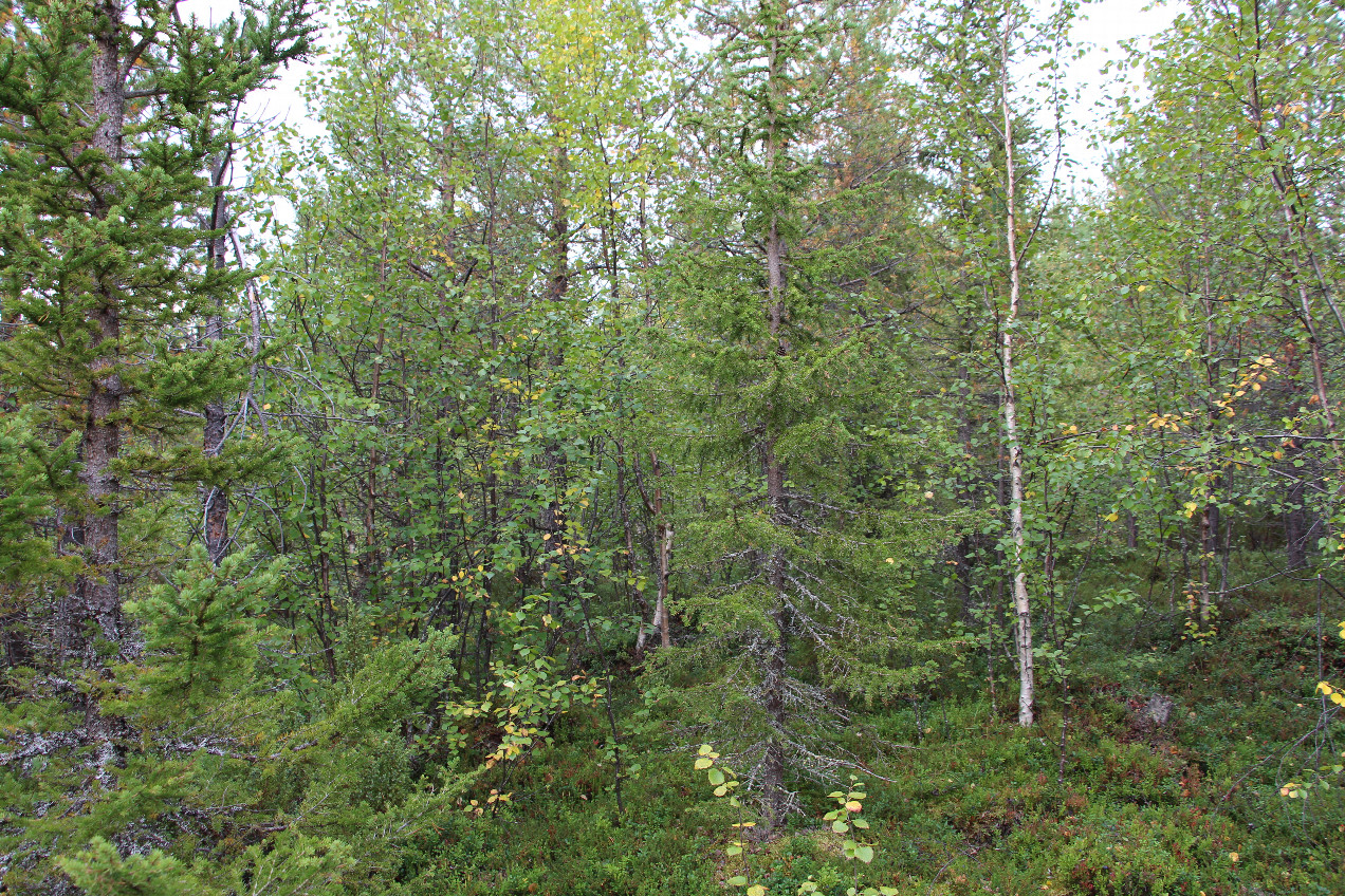 View to the North
