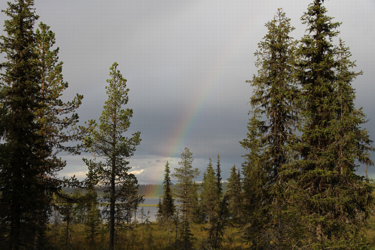 Sattaj&auml;rvi lake