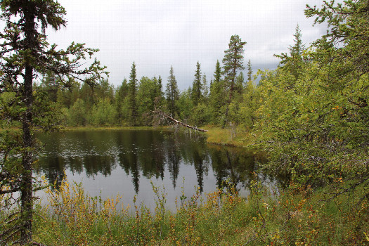 #1: General view of the area - CP on other side of the lake ~200m