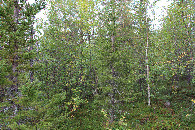 #2: View to the North