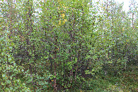 #3: View to the East