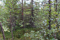 #4: View to the South