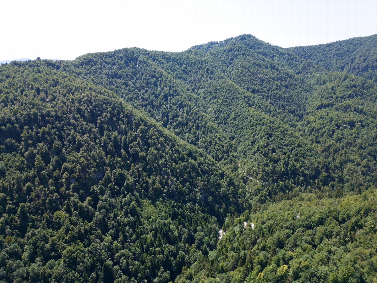 View South, from 120m above the point