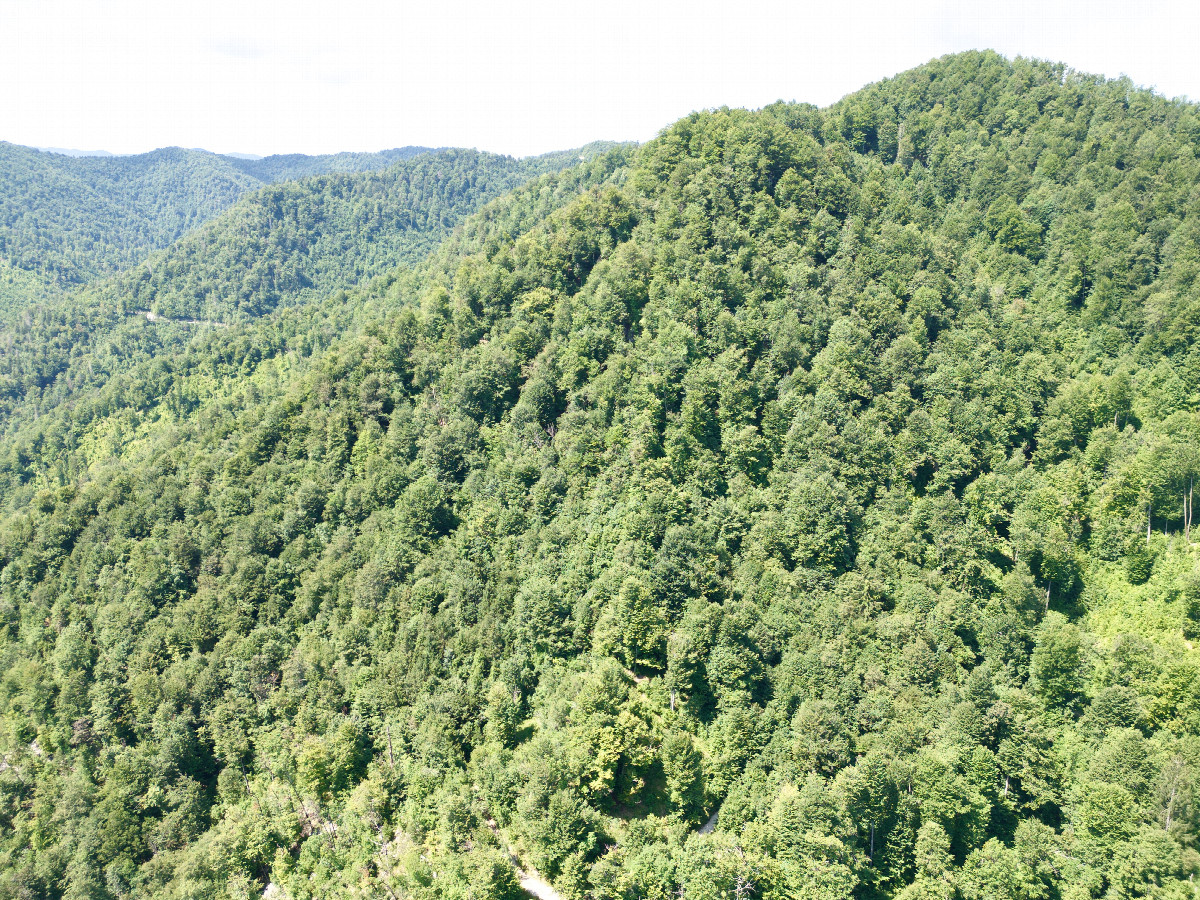 View West, from 120m above the point