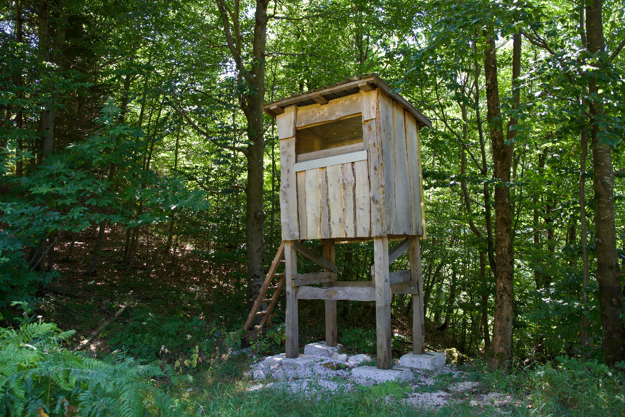 A hunting blind beside the access road, about 450m from the point