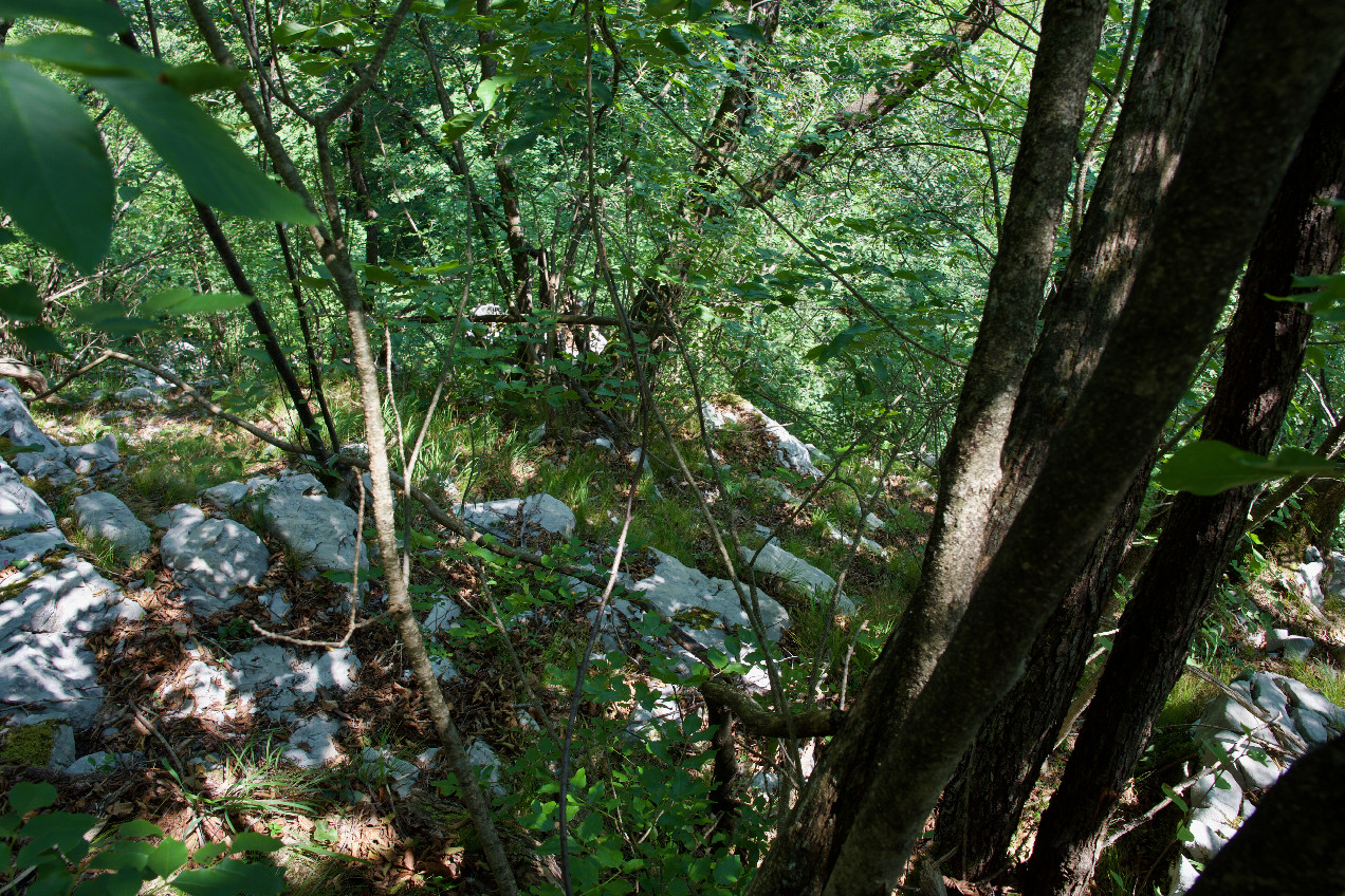 The confluence point lies down this very steep, rocky slope.  (This is also a view to the East.)