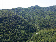 #10: View South, from 120m above the point