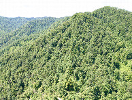 #11: View West, from 120m above the point