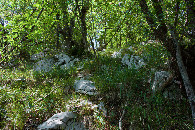 #4: View West (up the slope)