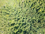 #7: Looking down on the point from a height of 120m