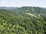 #8: View North, from 120m above the point