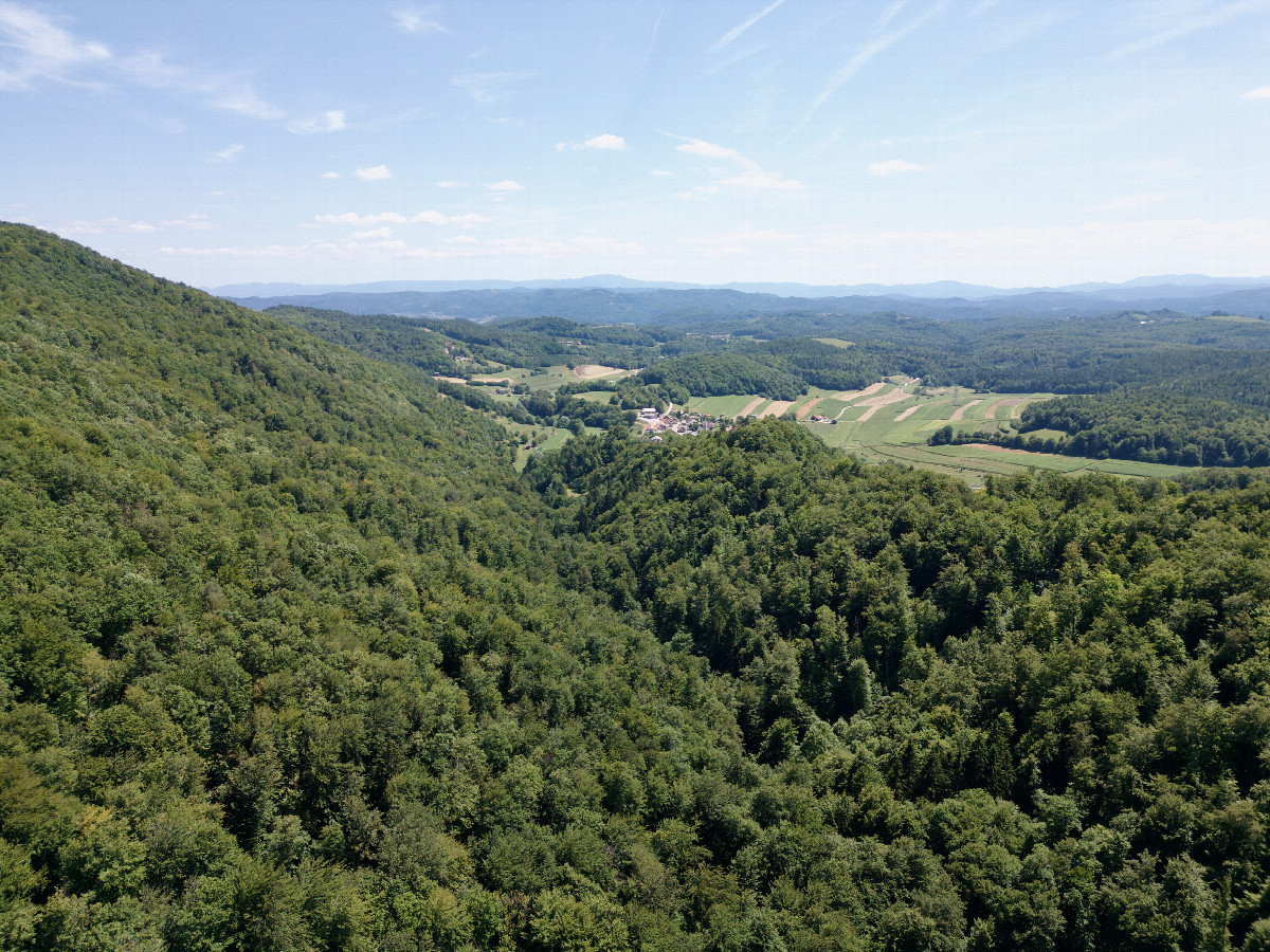 View South, from 120m above the point