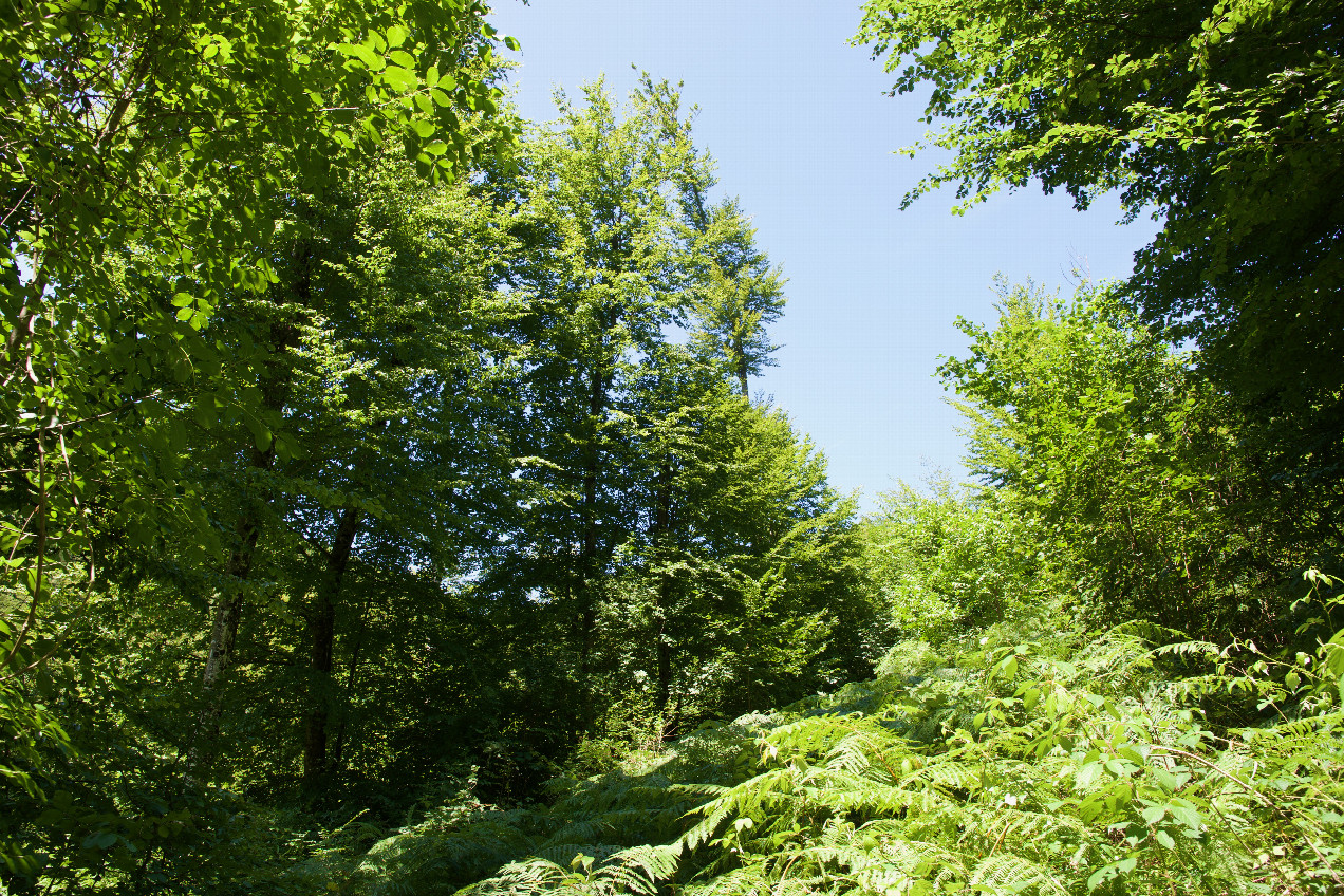 View North