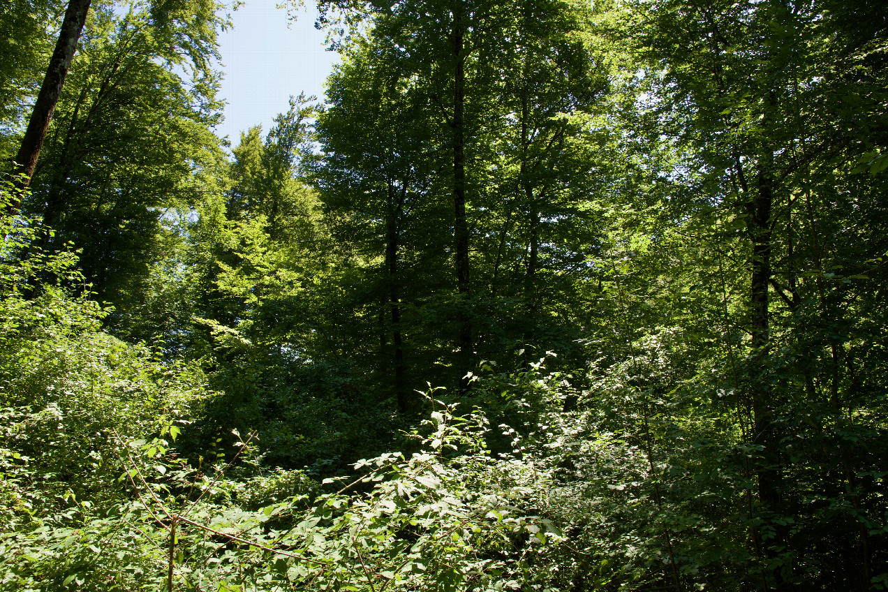 View South