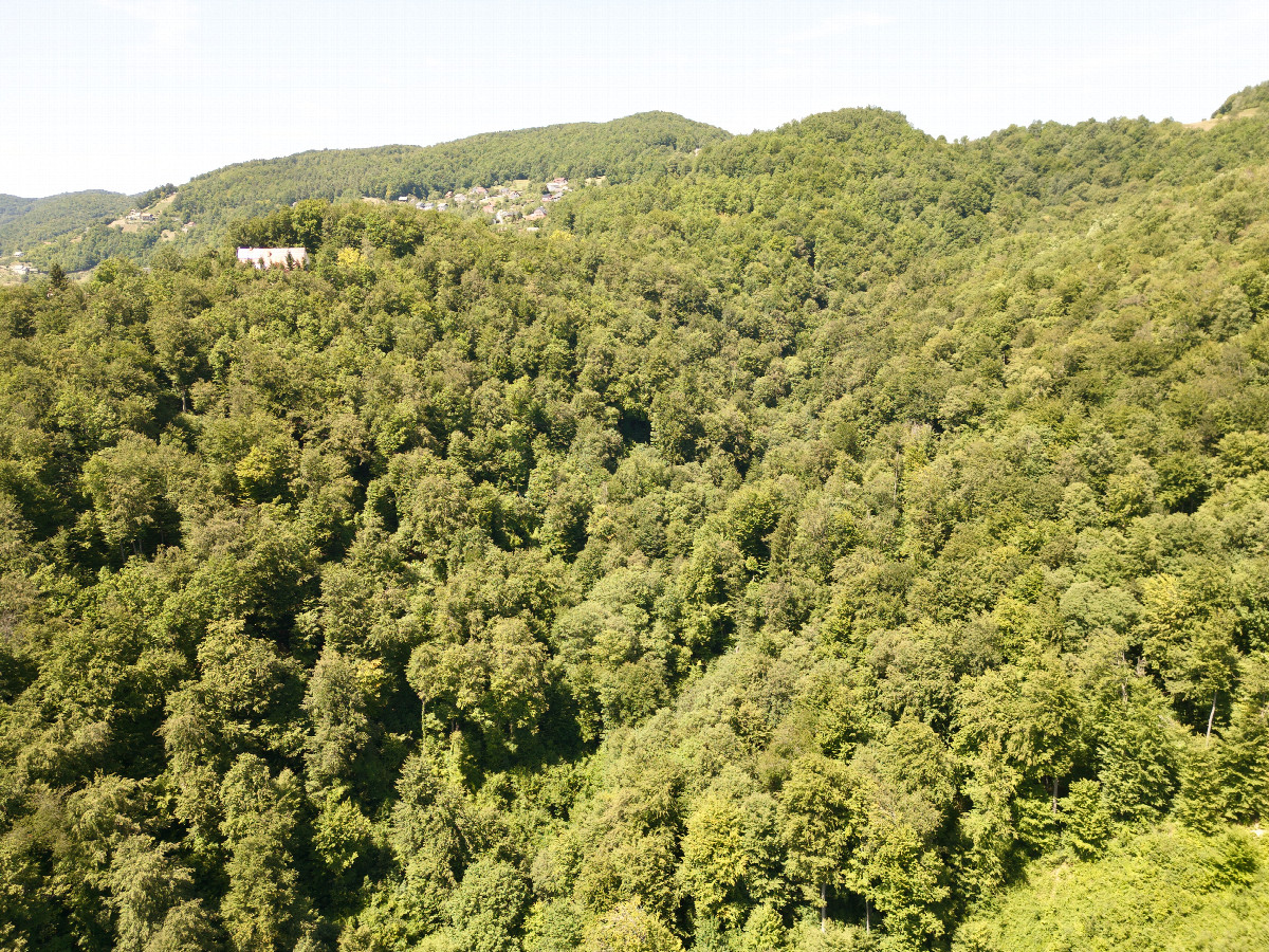 View North, from 120m above the point