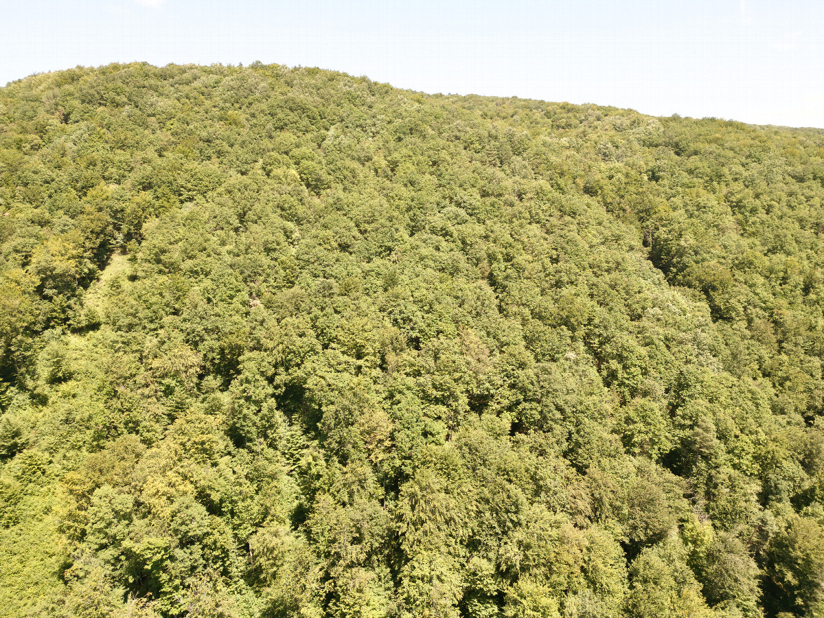 View East, from 120m above the point