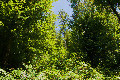46&deg;N 15&deg;E preview image