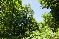 #2: View North
