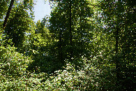 #3: View South