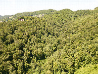 #8: View North, from 120m above the point