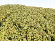 #9: View East, from 120m above the point