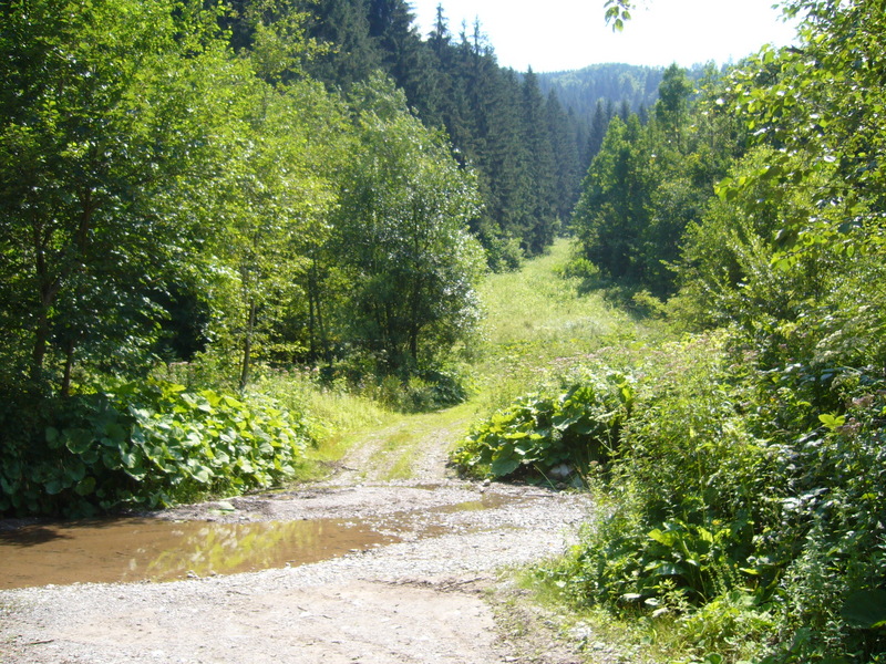 Passage thru Belanský Creek - Bród przez Belanský Potok 