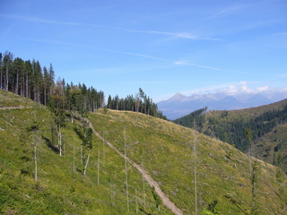#1: CP 340 metres north on top of the ridge (centre). High Tatra Mountains in the background.
