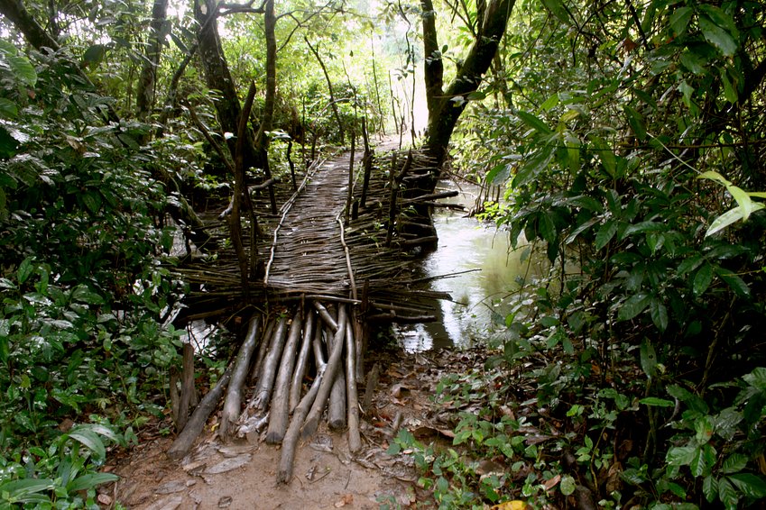 Adventurous constructions crossing swamps