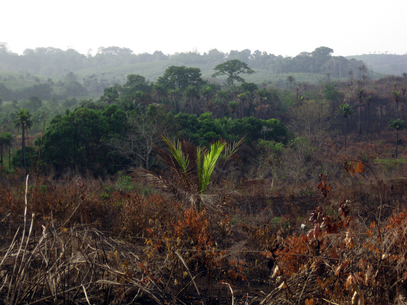 Undulating hills and remnant woodlands typical of northern Sierra Leone