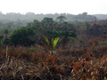 #8: Undulating hills and remnant woodlands typical of northern Sierra Leone