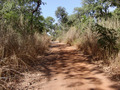 #7: Dirt road to the Confluence
