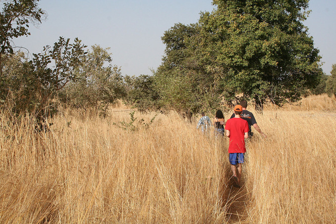 We walked through tall Andropogon grass to reach the site