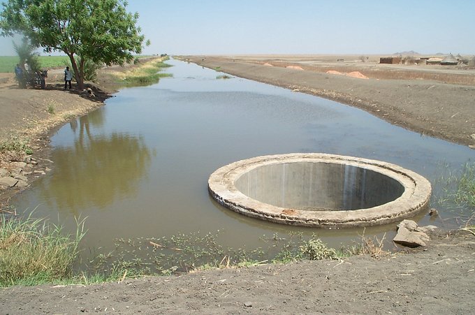 Canal in Kenana sugar scheme