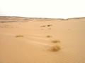 #6: A sand filled valley took us off the plateau and away from 19N 30E