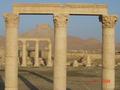 #6: Tadmur (Palmyra)