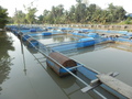 #9: Nearby Floating Fisher Nets 
