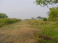 #5: Facing North - 100m track from a small road