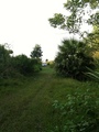 #8: Path leading to the confluence point