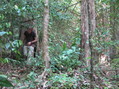 #9: Greg, hacking through the jungle with machete.