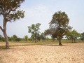 #7: General view of the area near the confluence (I)