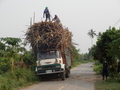 #10: Truck Getting Packed with Sugar Cane 