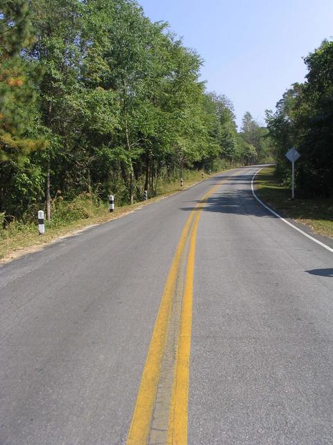 Road passing confluence, the spot is in forest on left
