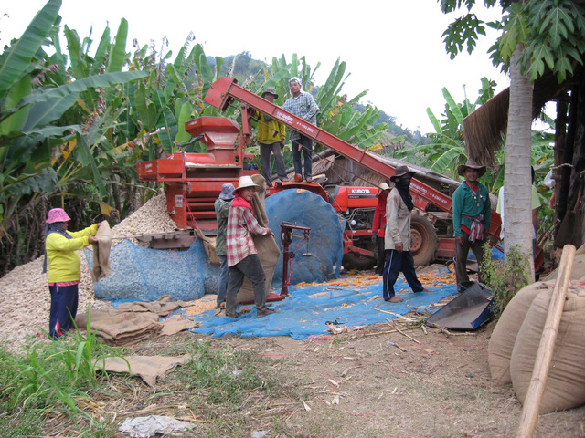 Corn harvest; We saw this kind of tractor setups everywhere in northern Thailand
