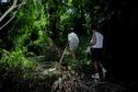 #7: Entering swamp/jungle on hike to confluence