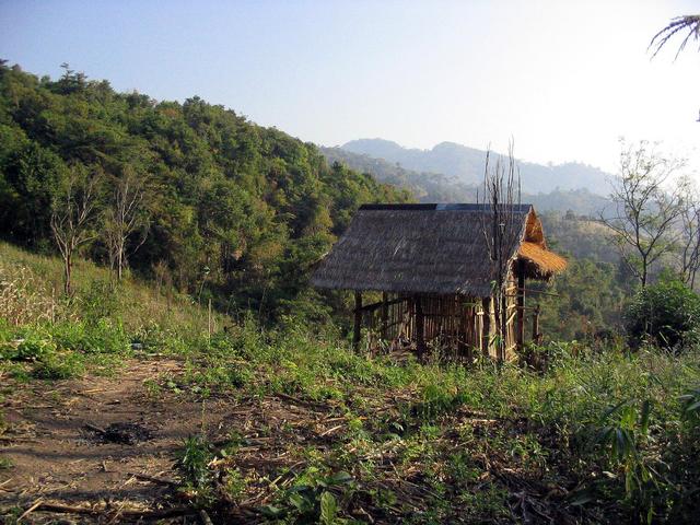 Resting hut 1.5km from confluence