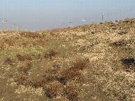 #5: View to the East